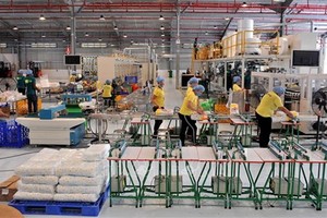 太平貿易與投資集團在古巴馬里埃爾開發特區投建的尿片及衛生棉生產廠 19日已正式投入營運。（圖源：越通社）