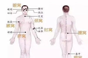 圖為人體八大“養生窩”。（圖源：互聯網）