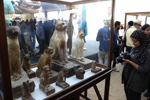 人們在新發現的動物雕像前參觀。（圖源：互聯網）