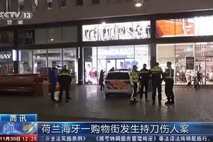 11月29日感恩節“黑色星期五”到來之際，荷蘭第三大城市海牙鬧市區發生行兇事件，至少3人被刺傷。（圖源：CCTV視頻截圖）