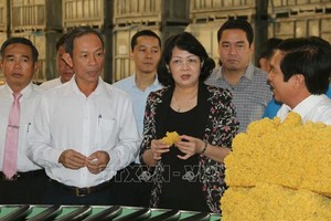 國家副主席鄧氏玉盛（中）及中央工作團參觀同奈橡膠總公司的橡膠加工廠。（圖源：越通社）