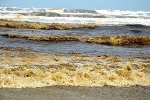 榕桔經濟區海水呈異常漆黑，海浪濺起黃色泡沫現象。（圖源：陳梅）