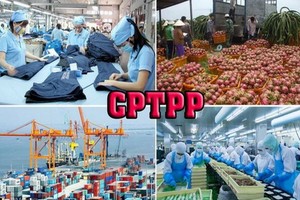 據世銀表示，截至2030年，越南出口至CPTPP地區各國市場將從540億美元增至800億美元，佔越南出口總金額的25%。（示意圖源：田升）