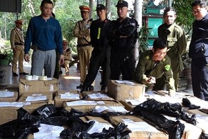 廣平省公安職能力量查獲的非法收藏鞭炮。（圖源：香江）