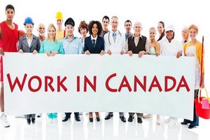 加拿大統計局12月6日公佈的數據顯示，該國今年11月就業市場較上月減少了約7萬1200個工作崗位，創下近10年以來最大的月度失業數。（示意圖源：互聯網）