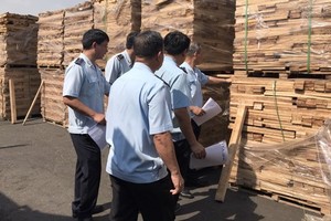 市海關人員對裝運木板的集裝箱進行實際檢查。（圖源：VOV）