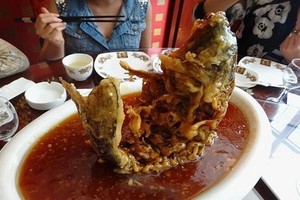 （示意圖源：互聯網）