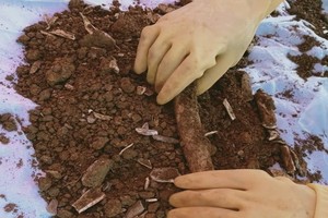 出土的烈士骸骨。（圖源：H.T）