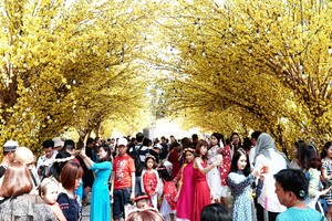 （示意圖源：互聯網）