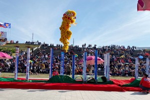 大勒花卉舞龍獅錦標賽一隅。