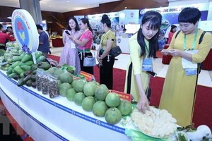 本市舉辦貿易促進會推介各省農產品。（圖源：名藍）