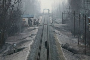  2019年末印度多地遭遇寒潮。（圖源：Sputnik）