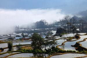 （示意圖源：互聯網）