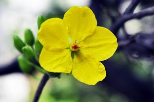 （示意圖源：互聯網）