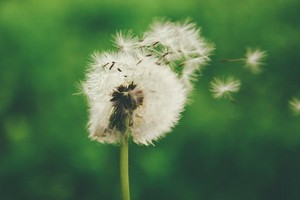 （示意圖源：互聯網）