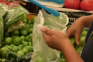 墨西哥首都墨西哥城開始實施限制使用塑料製品的法律，禁止商店免費提供塑料袋。（圖源：VTV）