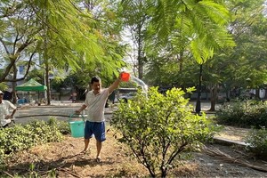 居民在曾經是垃圾場，後改造成為第八郡高魯公園內照顧綠樹。