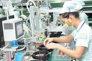 本市吸引眾多 FDI 企業前來投資。