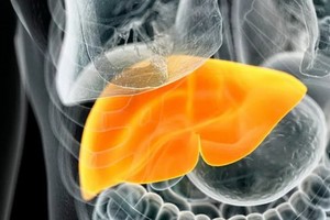 （示意圖源：互聯網）