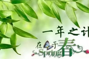 （示意圖源：互聯網）