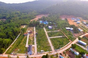 圖為富國島沿外松樹街旁的數十公頃農業用地被劃分成小塊出讓。（圖源：民智）