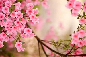 （示意圖源：互聯網）