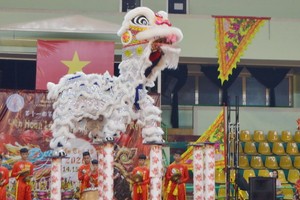 醒獅上梅花樁。