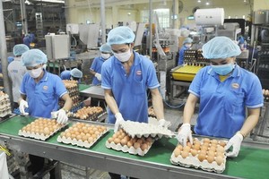 永成達公司生產南部西區原料的蛋類。