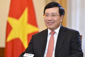 黨中央政治局委員、政府副總理、外交部長、越中雙方合作指委會越南分會主席范平明。（圖源：互聯網）