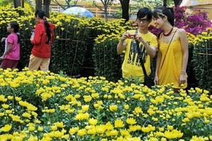 市民參觀花市。（圖源：PN）