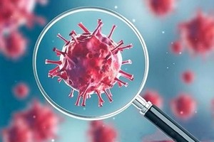 圖為新型冠狀病毒顯微圖 。（圖源：互聯網）