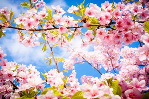 （示意圖源：互聯網）