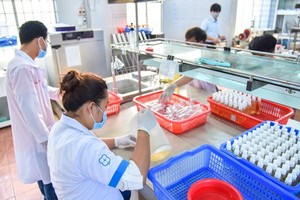 雒鴻大學師生們在加快進度生產洗手液。（圖源：英秀）