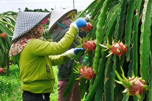 （示意圖源：俊傑）