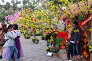 （示意圖源：互聯網）