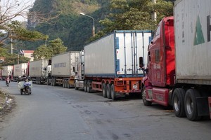 因受新冠肺炎的影響，導致通過口岸出口到中國市場的農產品遇到困難，一輛輛大貨車停滯在口岸。（圖源：梁鵬）