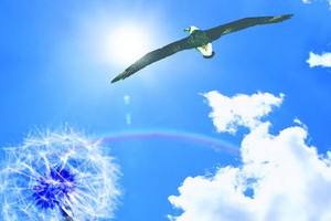 （示意圖源：互聯網）