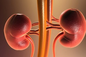 （示意圖源：互聯網）