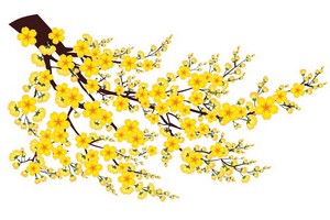 （示意圖源：互聯網）