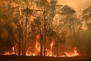 澳大利亞山火影響惡劣，澳洲75%的民眾自認受到這波致命野火危機影響。（圖源：新華社）