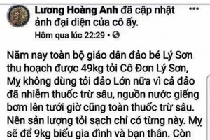 梁黃英在臉書上發佈失實貼文。（圖源：臉書截圖）