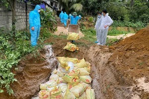 獸醫人員對感染甲型H5N6禽流感的家禽按衛生防疫規定進行銷毀。（圖源：裴明）