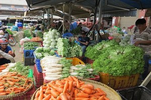 運抵本市中國農產品漸增。（示意圖源：TL）