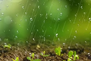 （示意圖源：互聯網） 