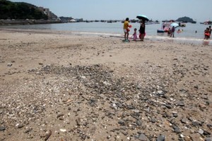 最新研究顯示，受氣候變化引發的沿海洪災和人類活動干擾的影響，到本世紀末，全球近一半的沙灘將顯著退化。（圖源：互聯網）