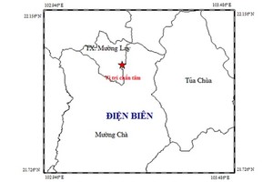 圖中星號表示震中位置。（圖源：地球物理院）