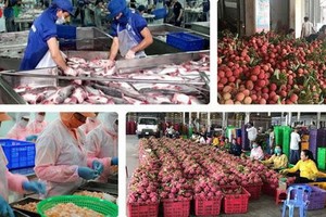 （示意圖源：互聯網）