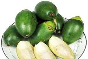 （示意圖源：互聯網）