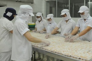 本市許多食品加工企業提高產量。
