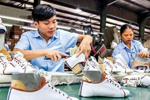 皮鞋領域將遇上困難，因為原材料只足以滿足至4月初的生產計劃。